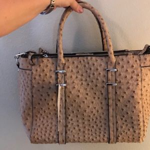 Ostrich Purse